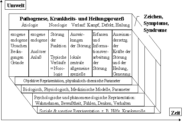 Krankheitsmodell GIPT  (12k)