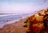 hm_m6.jpg (14453 Byte)
