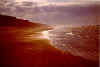 hm_m9.jpg (12023 Byte)