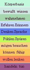 psychische Grundfunktionen als Heilmittelbasis